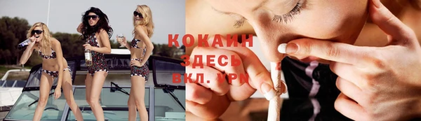 прущая мука Арсеньев