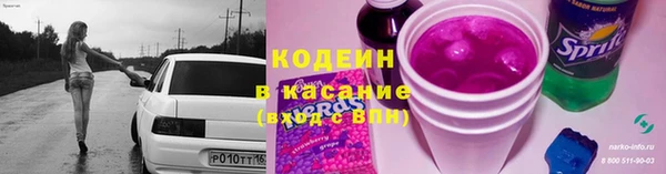 прущая мука Арсеньев
