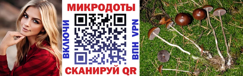 Псилоцибиновые грибы прущие грибы  Ртищево 
